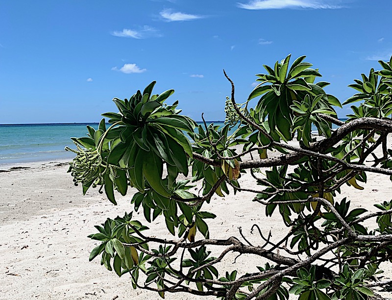 Bintan Indonesia