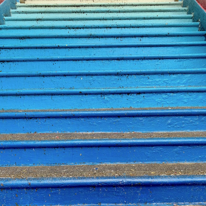 Batu Caves Blue Steps