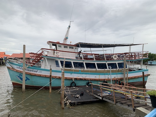 Wild Encounter Whale Boat