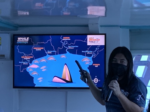 Thailand Whale Watching Map