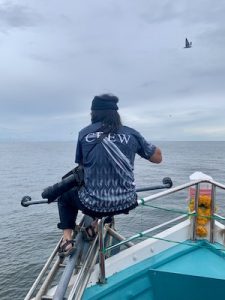 Wildlife Encounter Thailand Whale Spotter